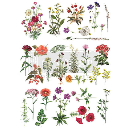Re-design Decor Transfer - Floral Collection Transfers > rub on transfers > redesign transfers
