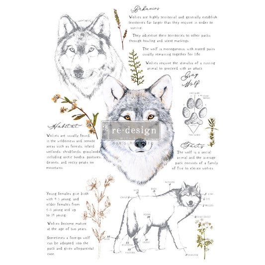 Gray Wolf - Re-design Decor Transfer