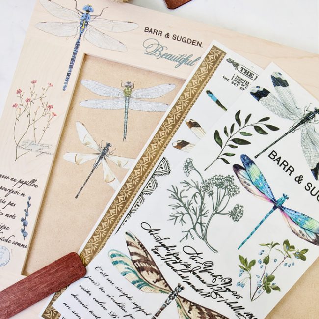 Spring Dragonfly - Re-design Decor Transfer