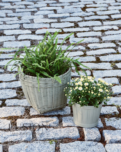 Lichen - Fusion Mineral Paint Paint > Fusion Mineral Paint > Furniture Paint