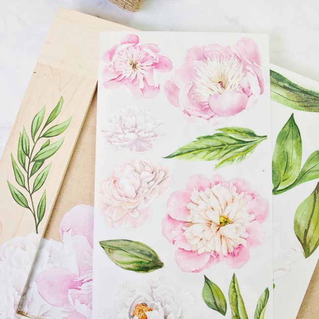 Morning Peonies - Re-design Decor Transfer