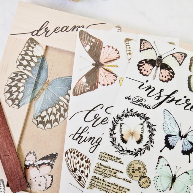 Papillon Collection - Re-design Decor Transfer