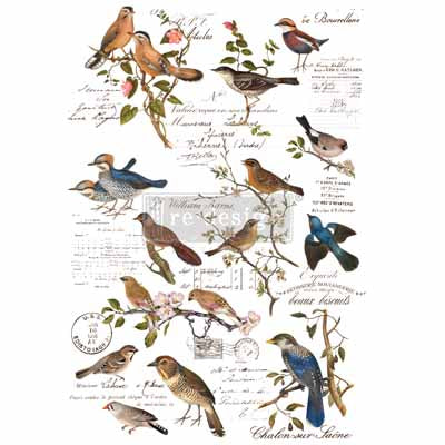 Postal Birds - Re-design Decor Transfer