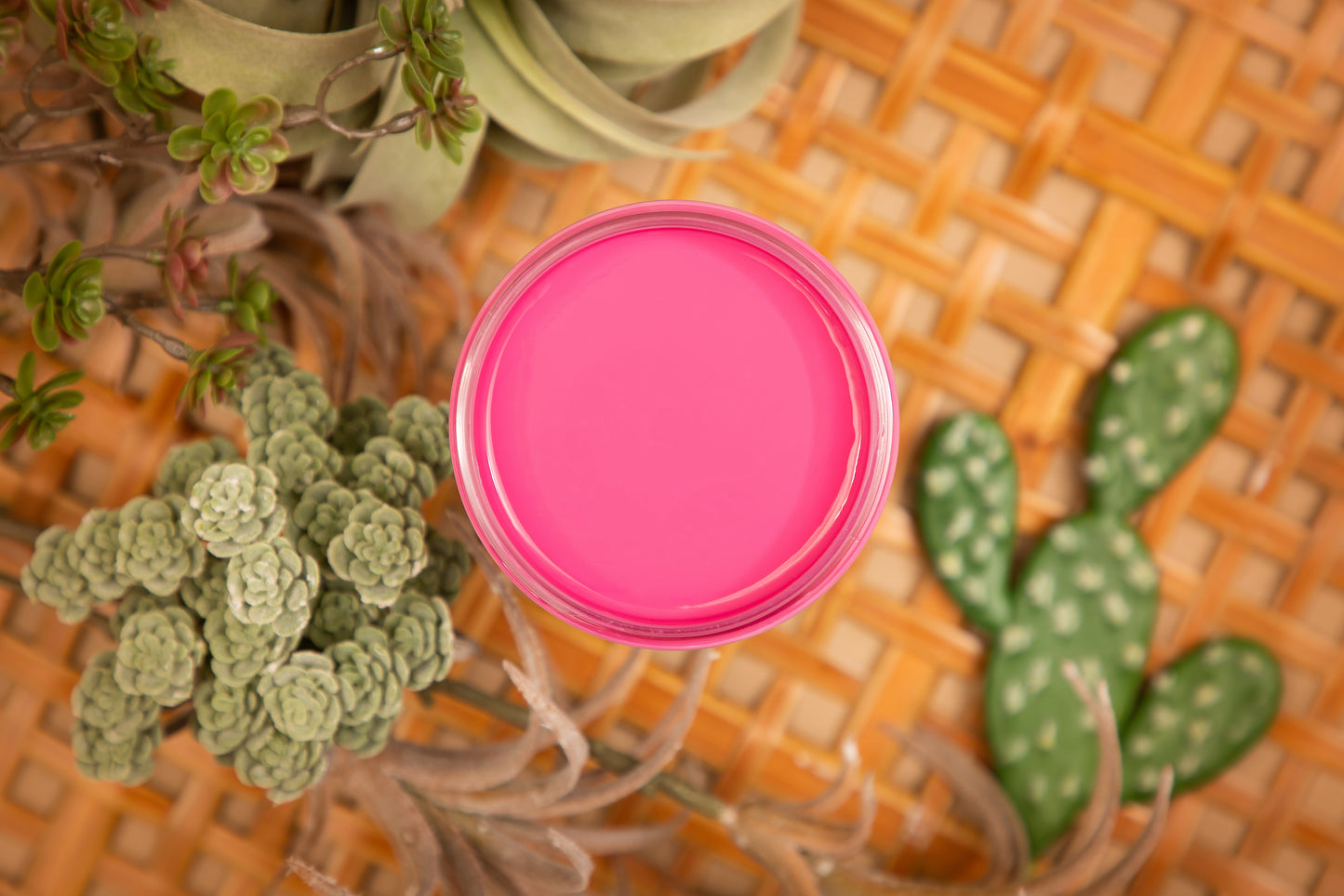 Prickly Pear - SILK  All-in-one Mineral Paint