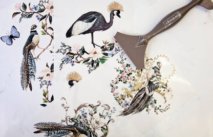 Rare Birds - Re-design Decor Transfer
