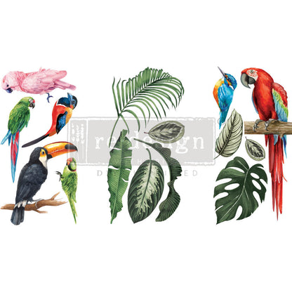 Redesign Small Transfers - Tropical Birds - Re-design Decor Transfer