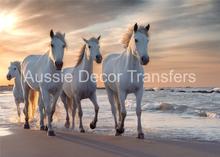 White Horses on the Beach - Aussie Decor Poster Print