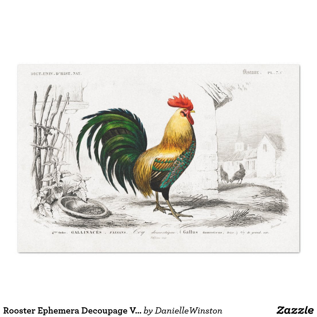 Zazzle - Rooster Ephemera Decoupage Vintage Farm Chicken Tissue Paper