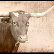 Texas Longhorn - Mint Decoupage Paper